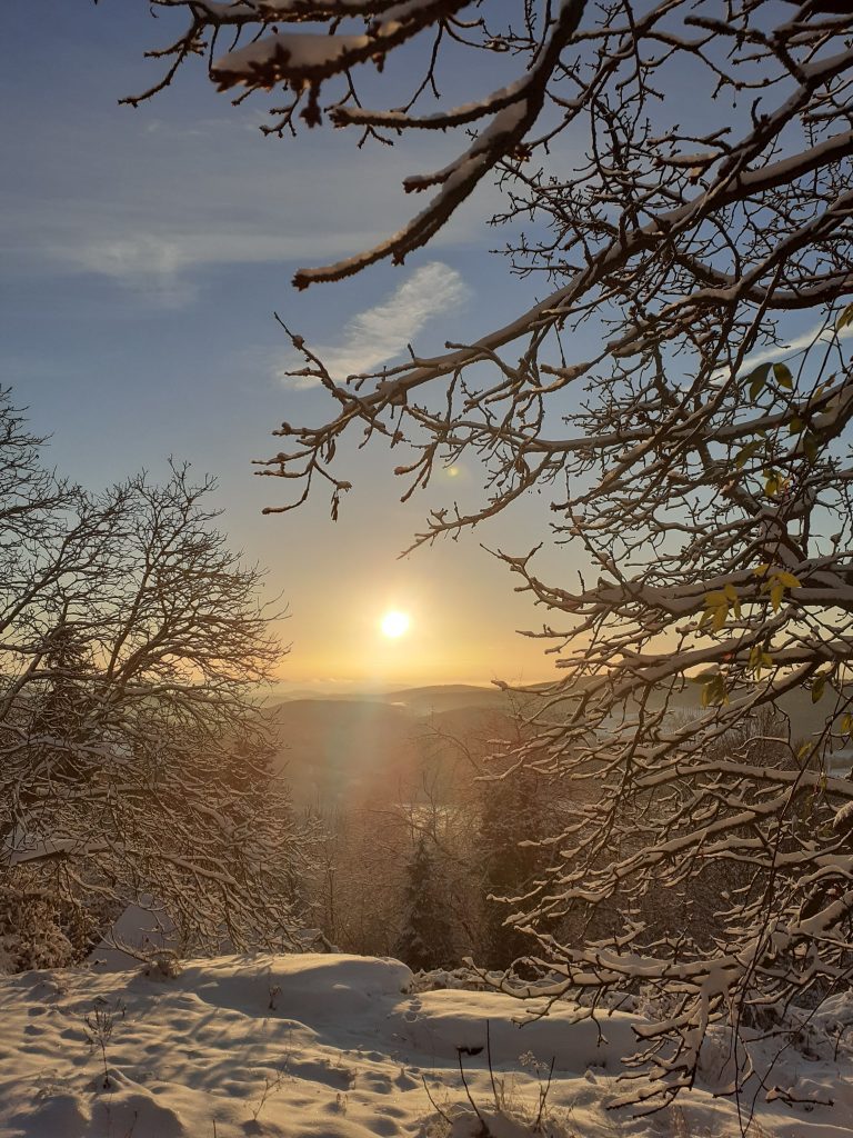 Vom Fühlen in die Erfüllung